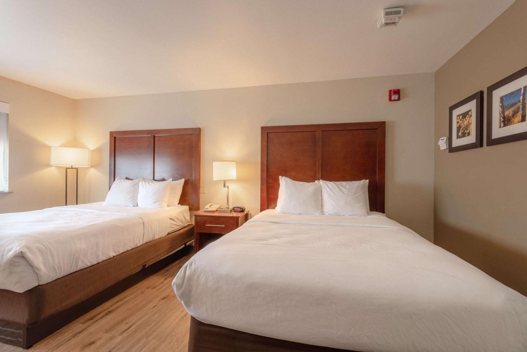 Comfort Inn&Suites Alamosa Eksteriør bilde